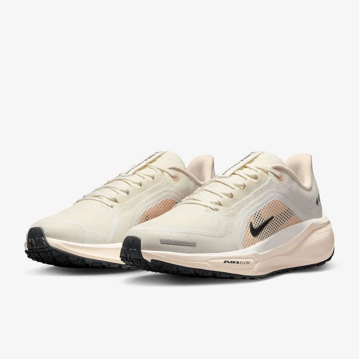 Nike_Air Zoom Pegasus 41 Goretex Shoes Main image