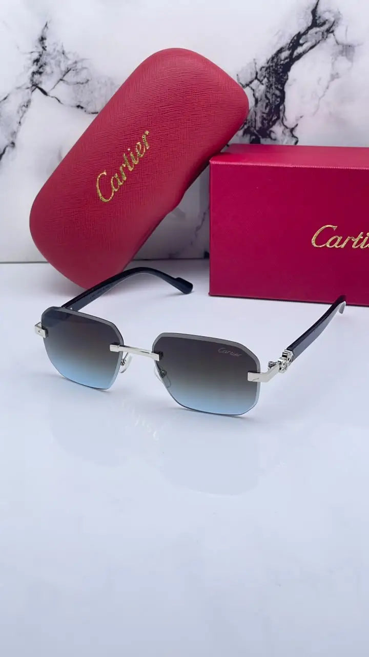Cartier 8818 silver brown blue Main image