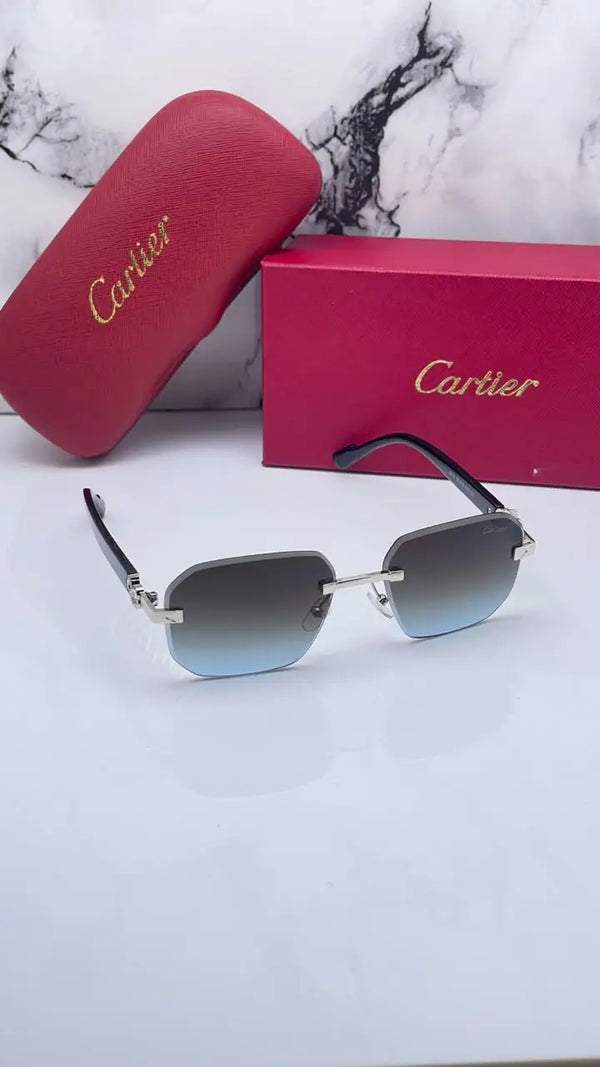 Cartier 8818 silver brown blue