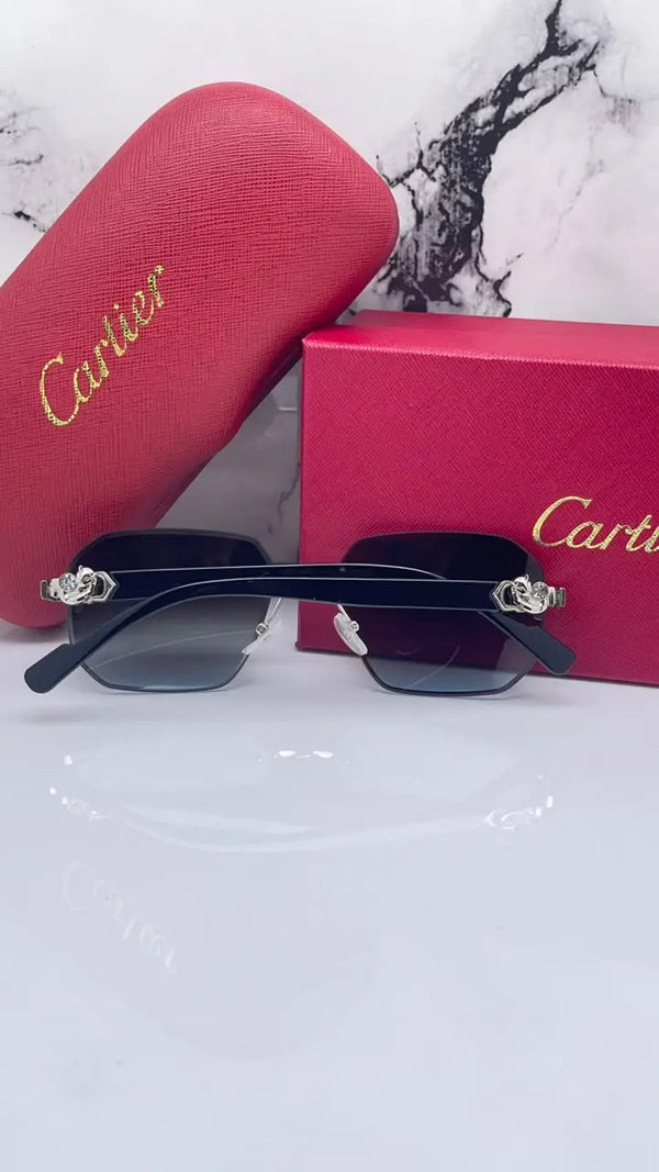 Cartier 8818 silver brown blue