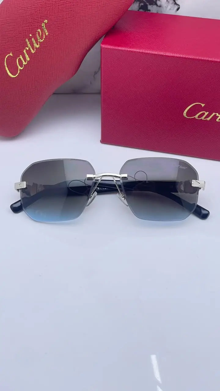 Cartier 8818 silver brown blue
